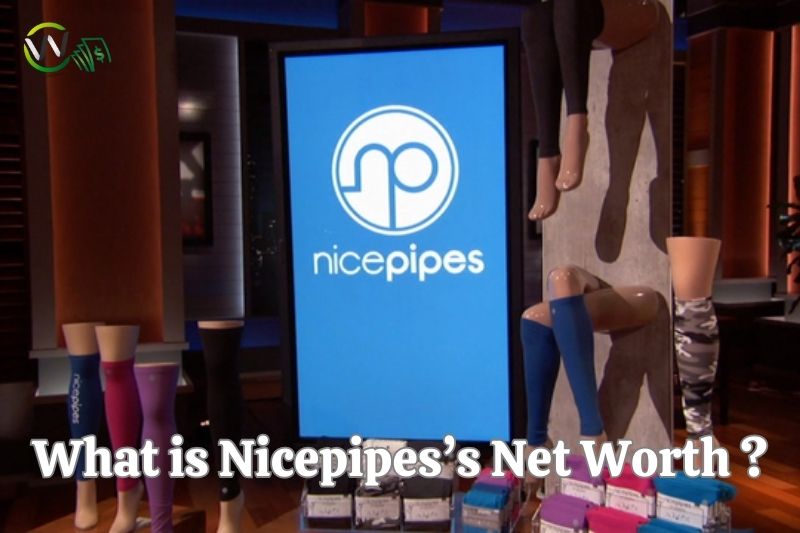 What is Nicepipes Net Worth Updated 08/18/2023