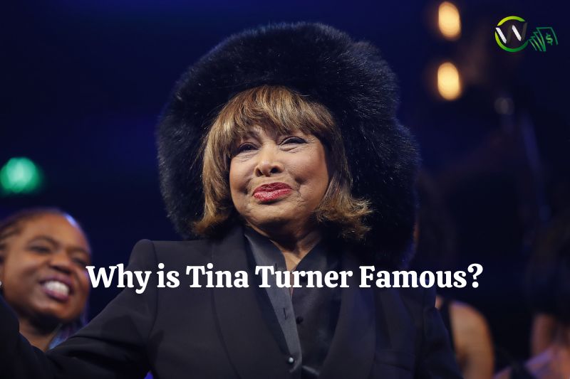 What is Tina Turner Net Worth On 02/08/2024 | WCnetworth