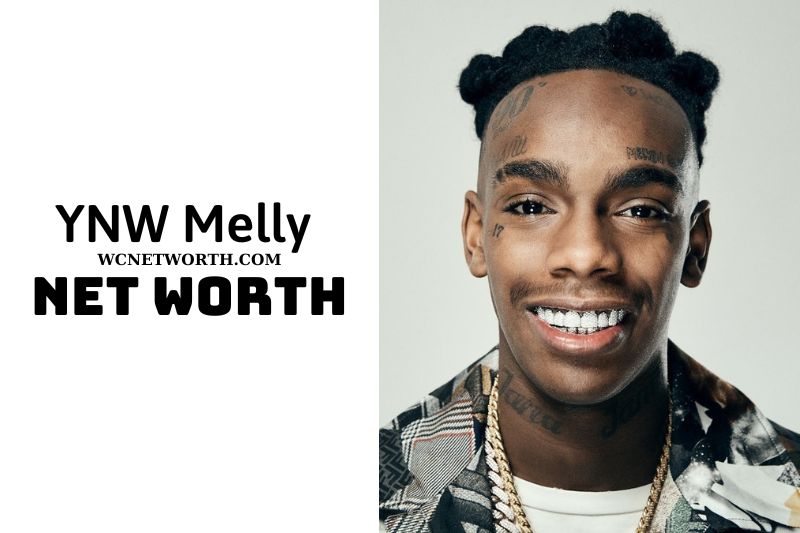 What Is YNW Melly Net Worth: Updated 11/26/2023 | WCnetworth