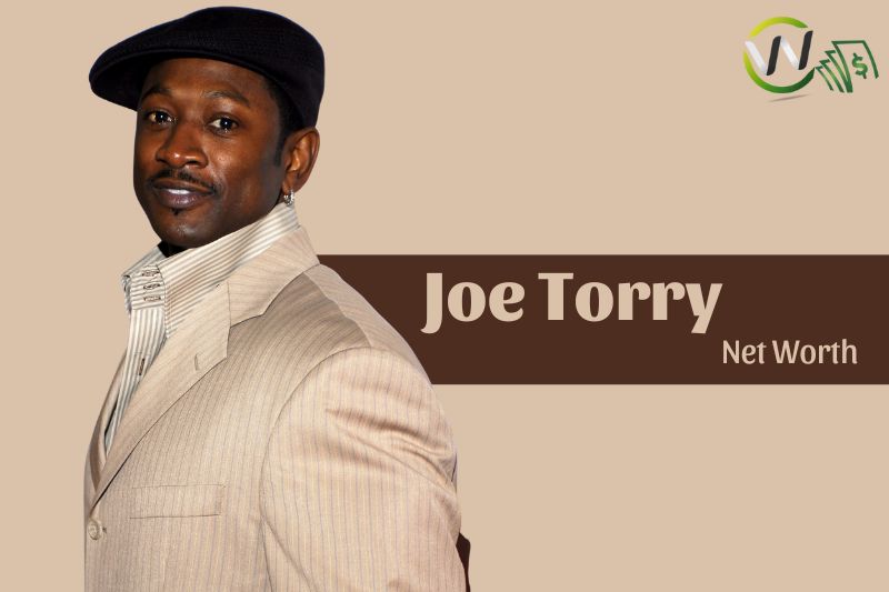 What is Joe Torry Net Worth 11/14/2024